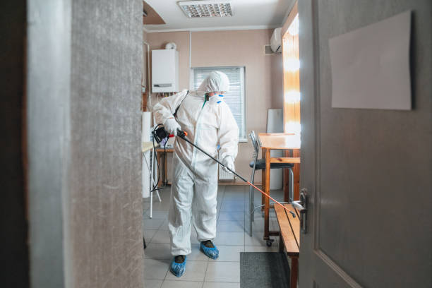 Best Mold Odor Removal Services  in Brownlee Park, MI
