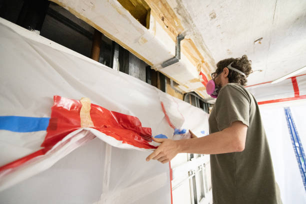 Professional Mold Removal in Brownlee Park, MI