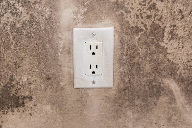 Best Post-Construction Mold Inspection  in Brownlee Park, MI