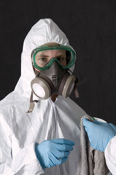 Best Forensic Mold Investigation  in Brownlee Park, MI